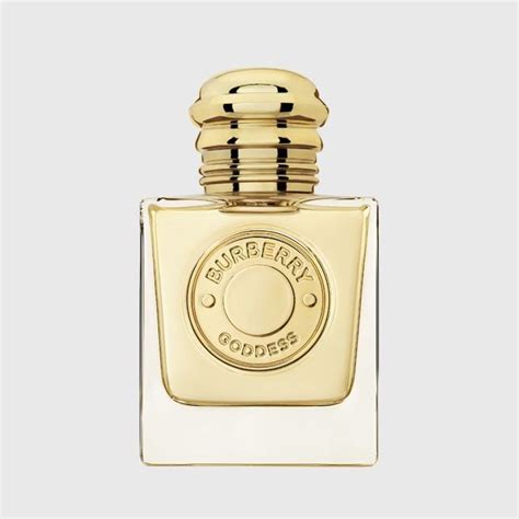 burberry goodness